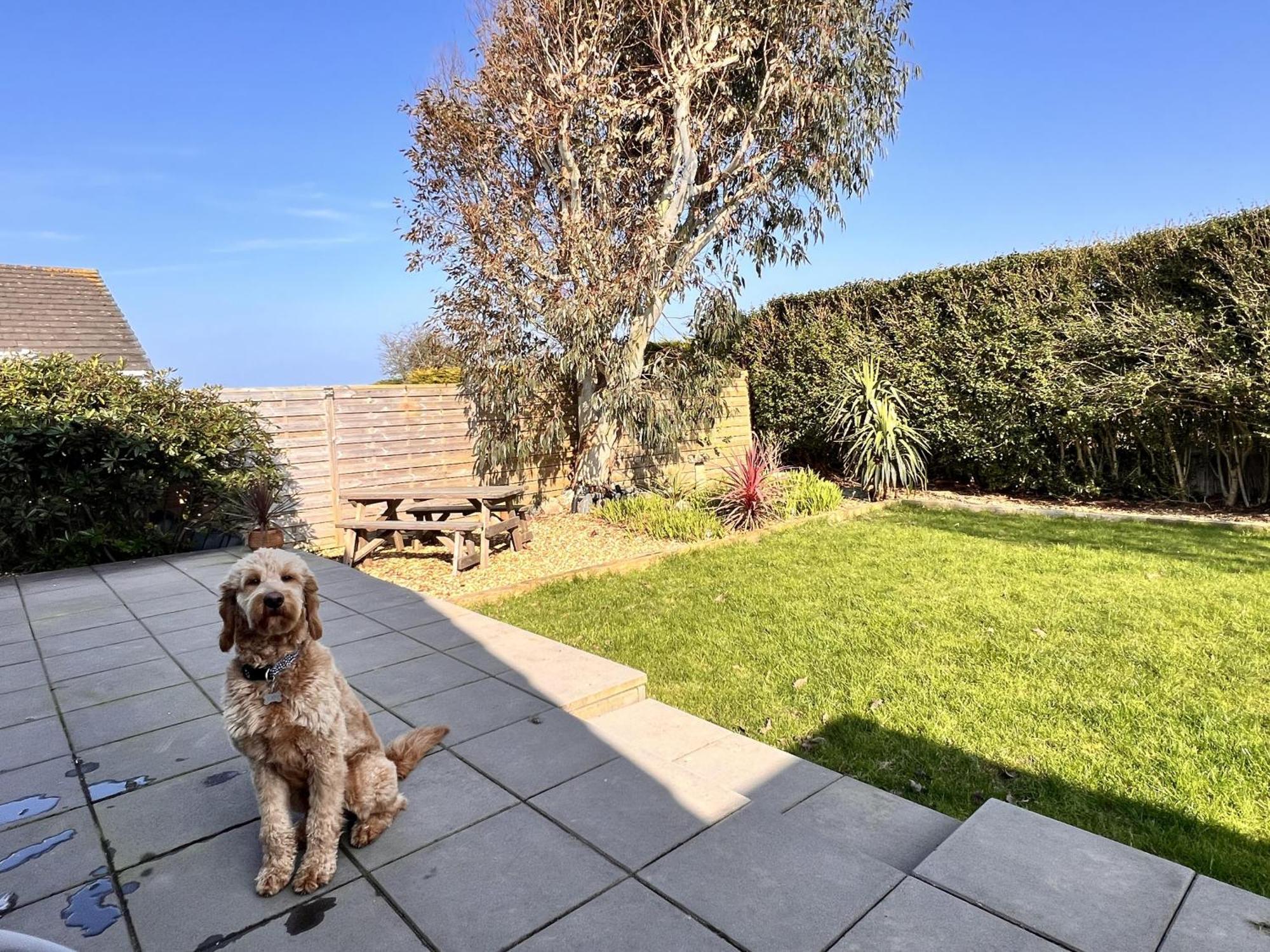 Stylish Modern Home With Parking Enclosed Garden Holyhead Esterno foto